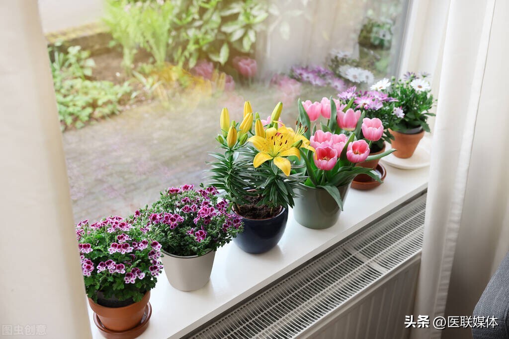 婴儿专用驱蚊水 (母婴驱蚊液有必要吗)