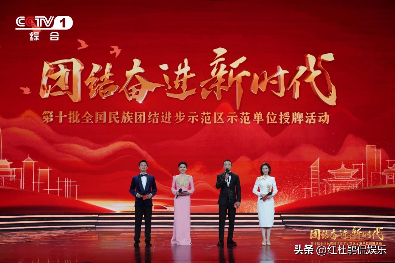 舒冬主持出彩中国人总决赛视频,舒冬龙洋主持节目