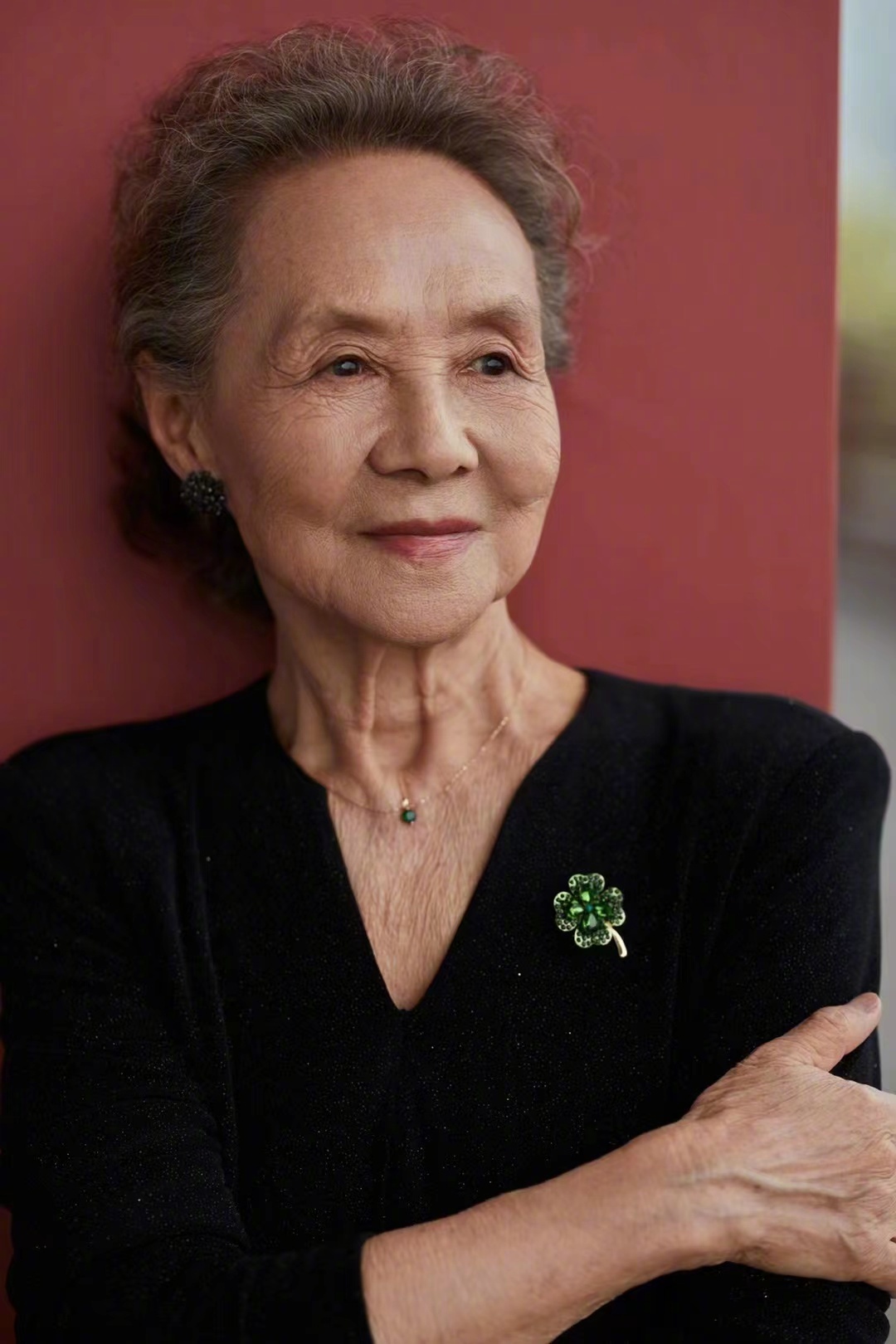 吴彦姝优雅美照,吴彦姝84岁优雅走红毯视频爆棚