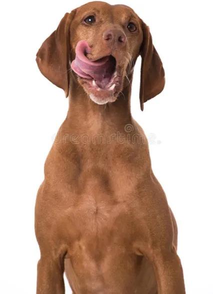 职场感悟写给初入职场的人们,职场小白初入职场的感悟