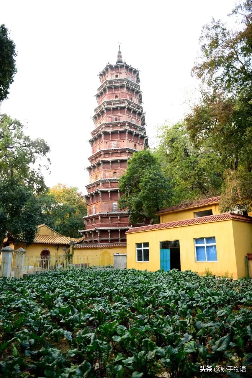 中国十大传统名菜大全,中国菜八大菜系十大名菜