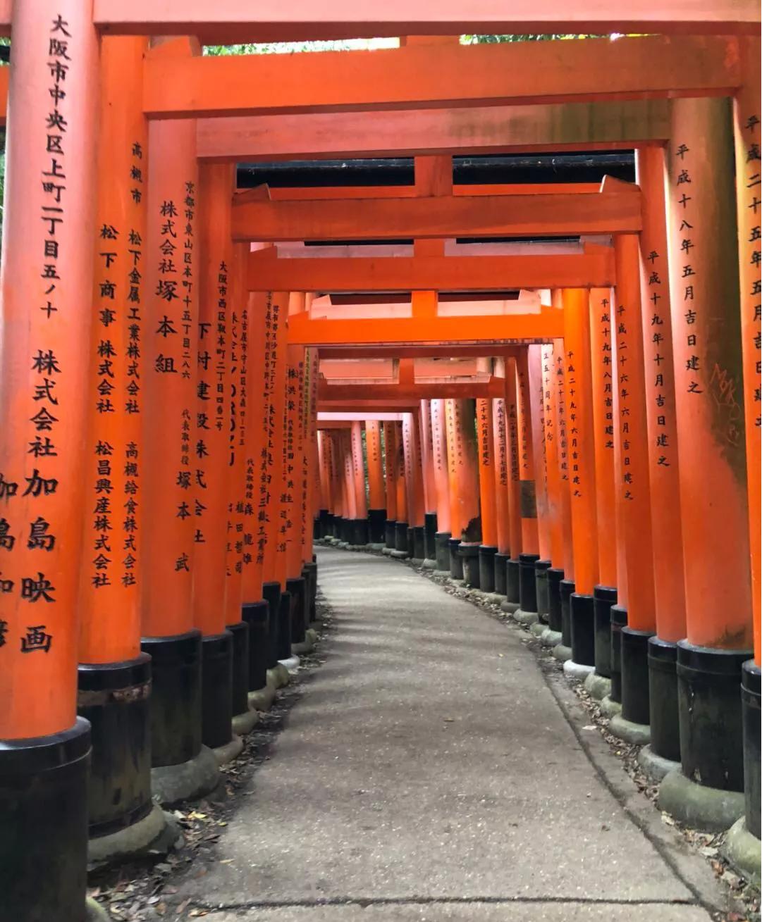 日本一个女生自己去旅游,女生日本独自旅行