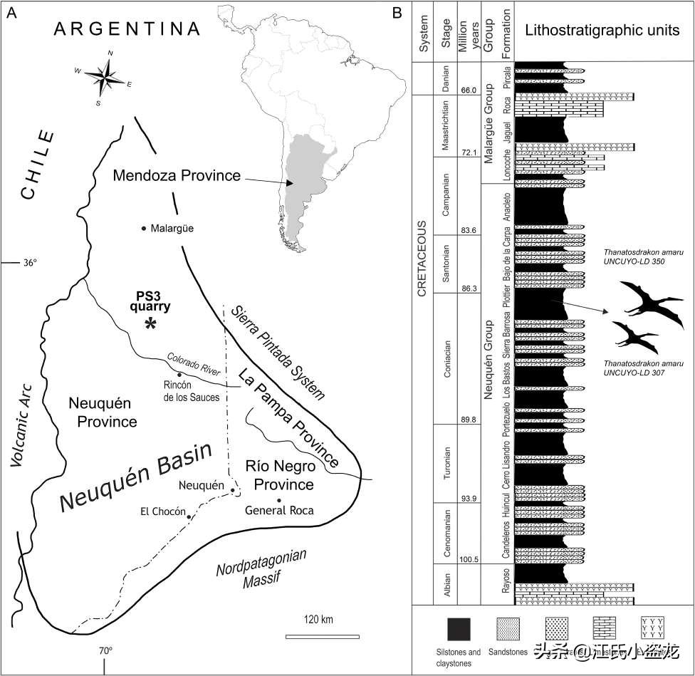 死神翼龙图片,死神翼龙真的存在吗