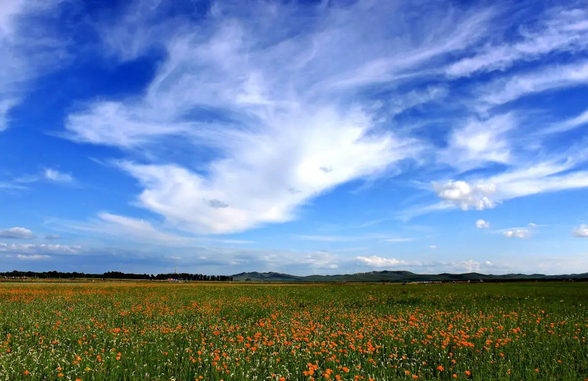 张北草原天路风景,张北草原天路路线