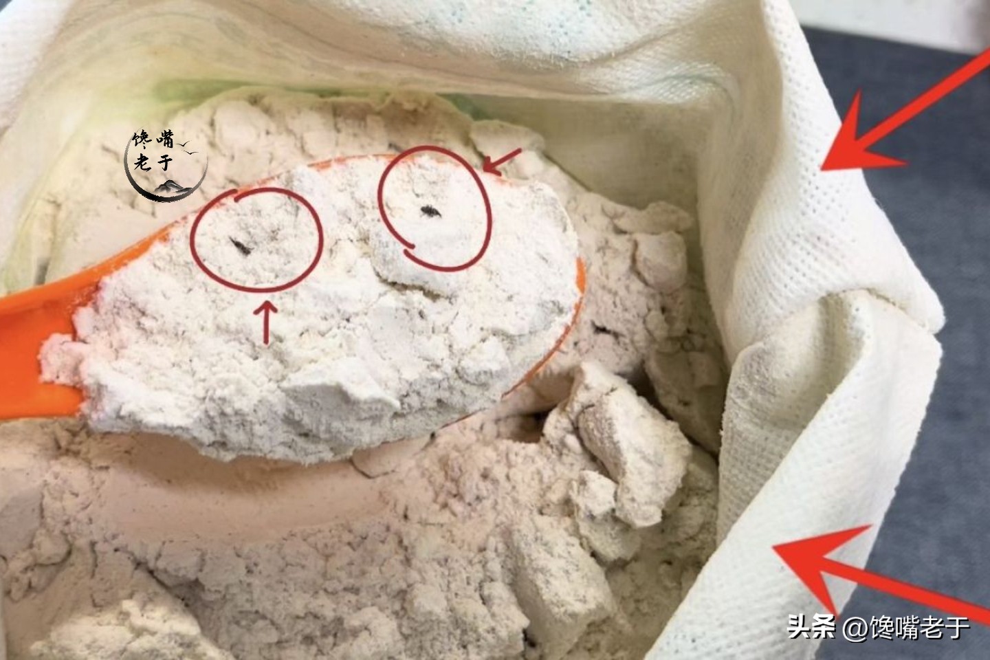 米店放什么不会生虫 (超市大米要怎样摆放才不会生虫)