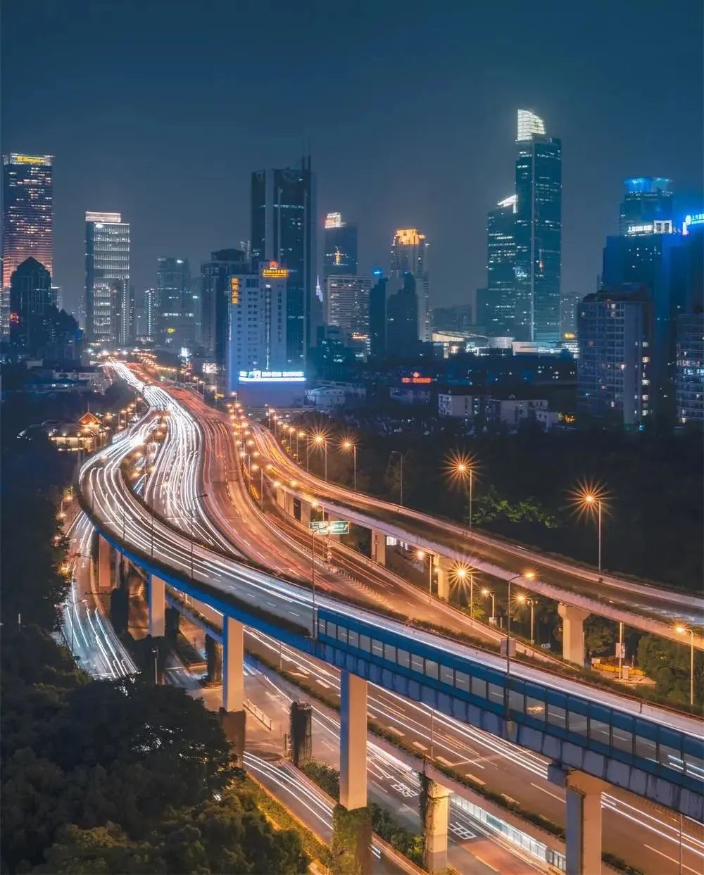 超级鲶鱼效应,超级巨型鲶鱼