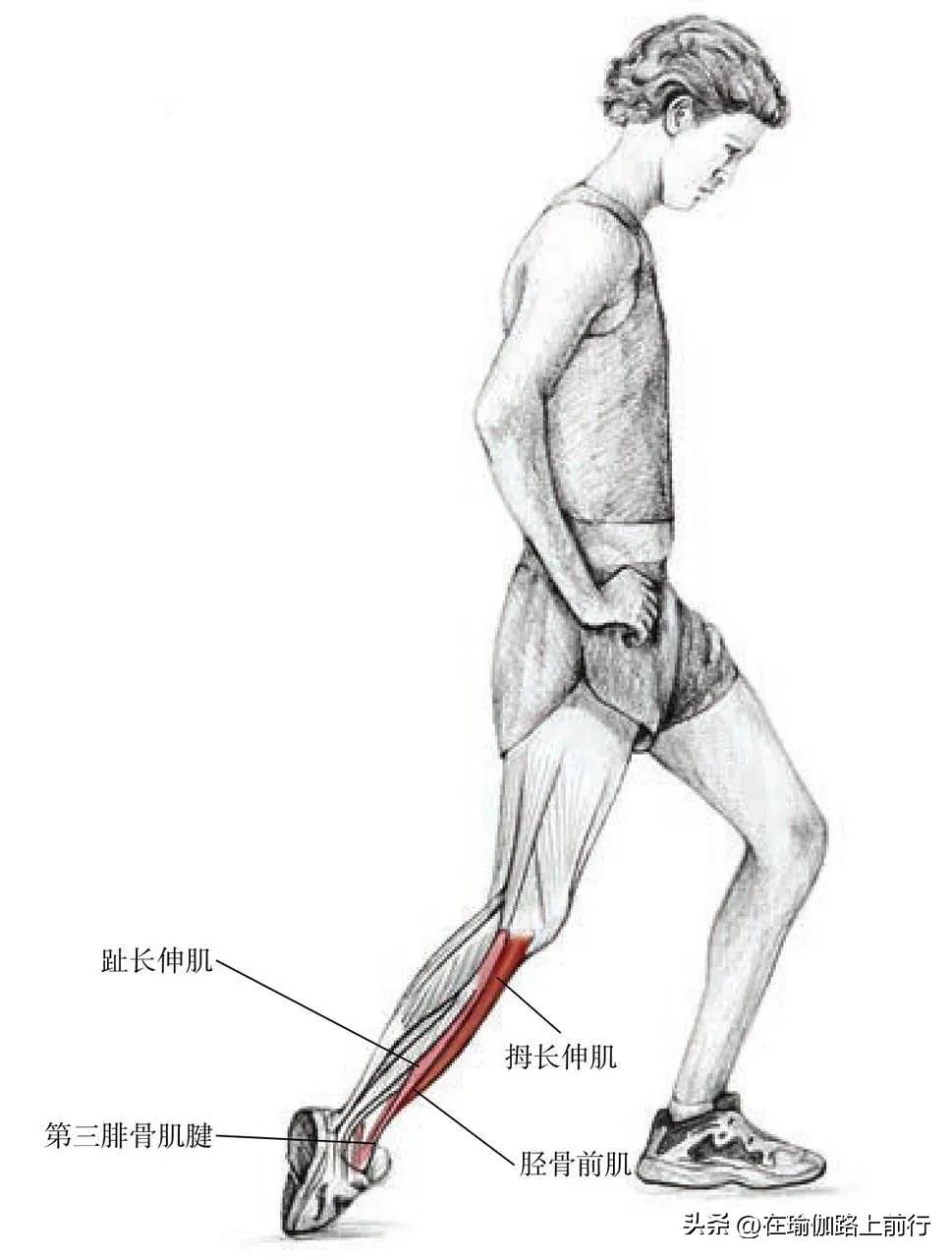 胫束拉伸的正确步骤,髌胫束拉伸