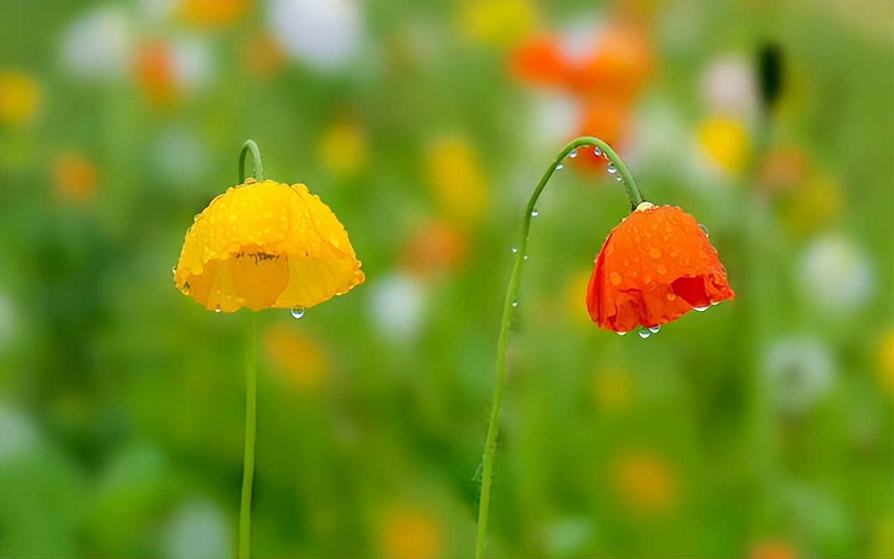 当男人很穷时你会怎样选择,如果男人觉得你很廉价你怎么做