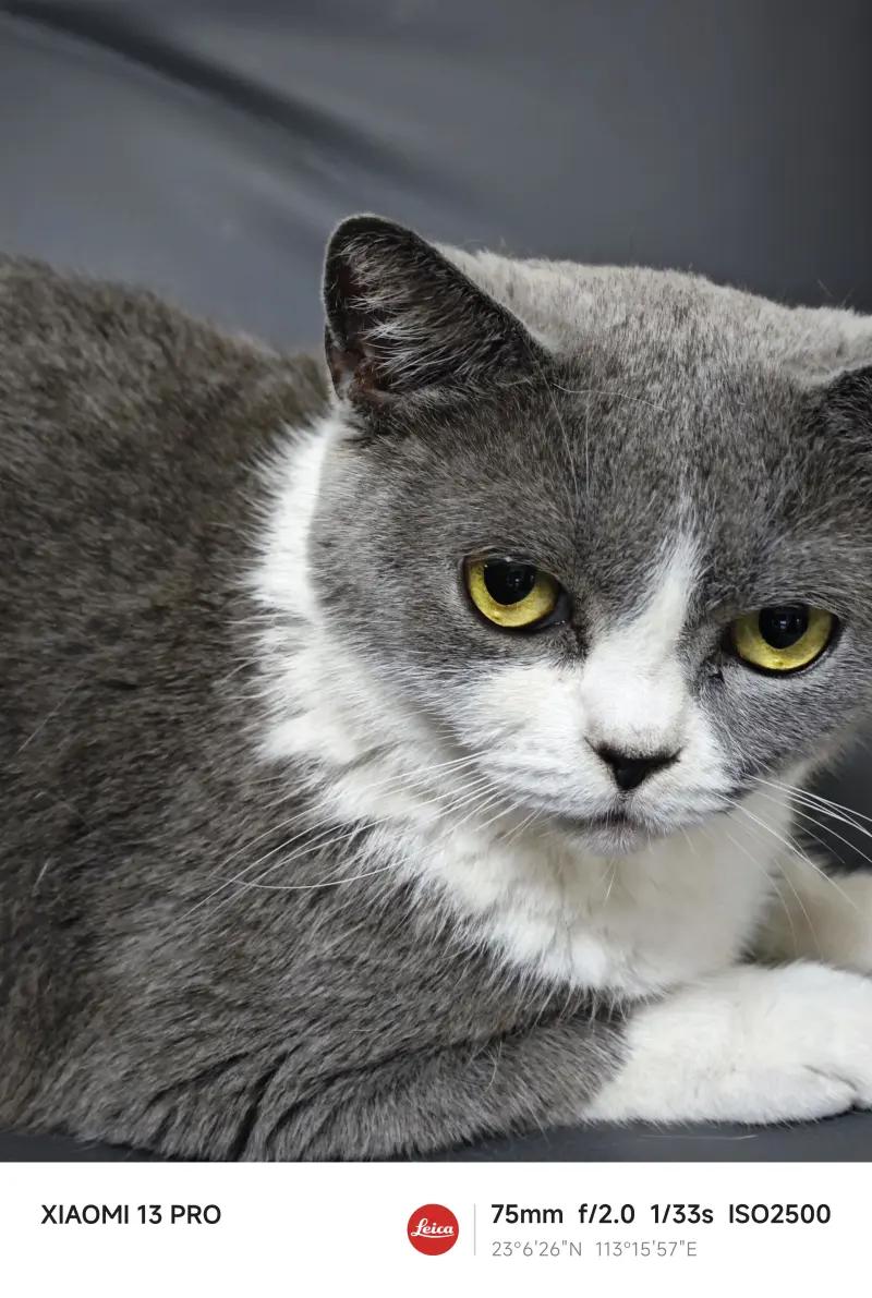 从iphone13换到安卓的感受,从苹果8p换到苹果13