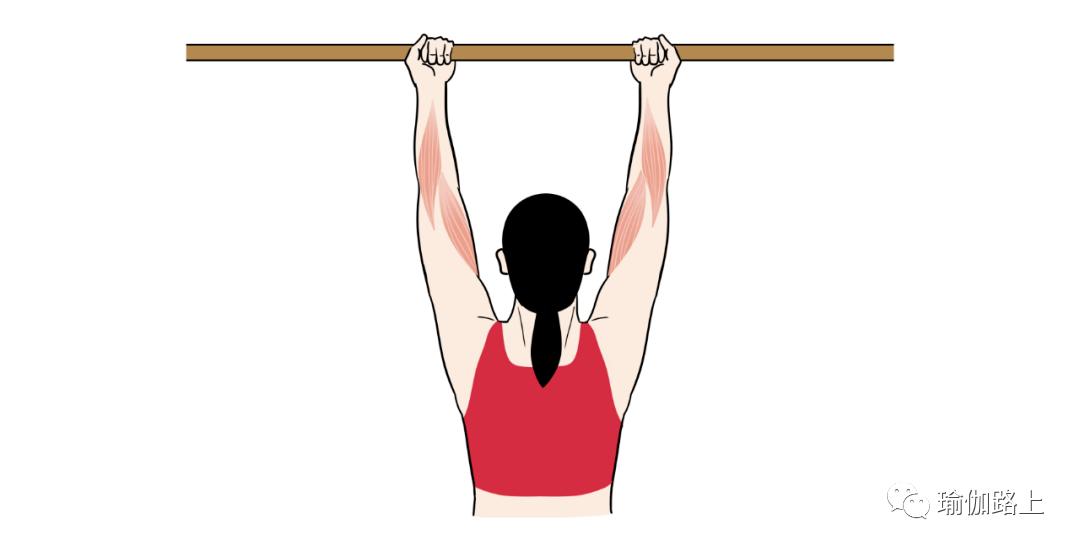 减手臂拜拜肉最有效的运动视频,坐着减手臂拜拜肉