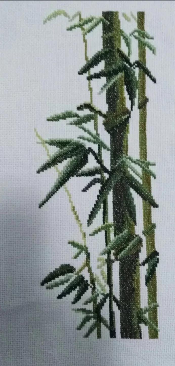 我的业余爱好介绍,我的业余爱好英语