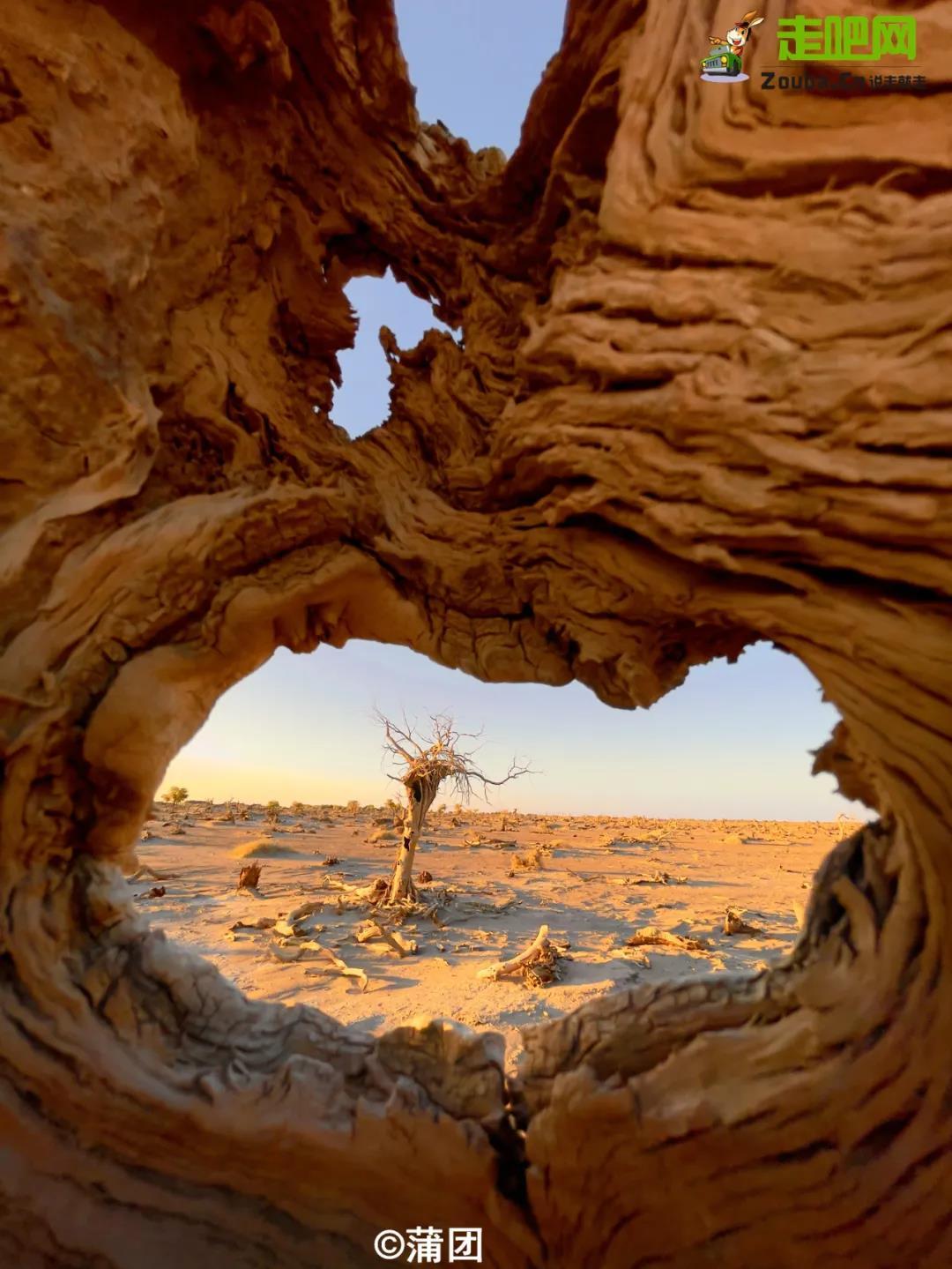 四明山赏秋最佳自驾路线,10条最美旅游线路