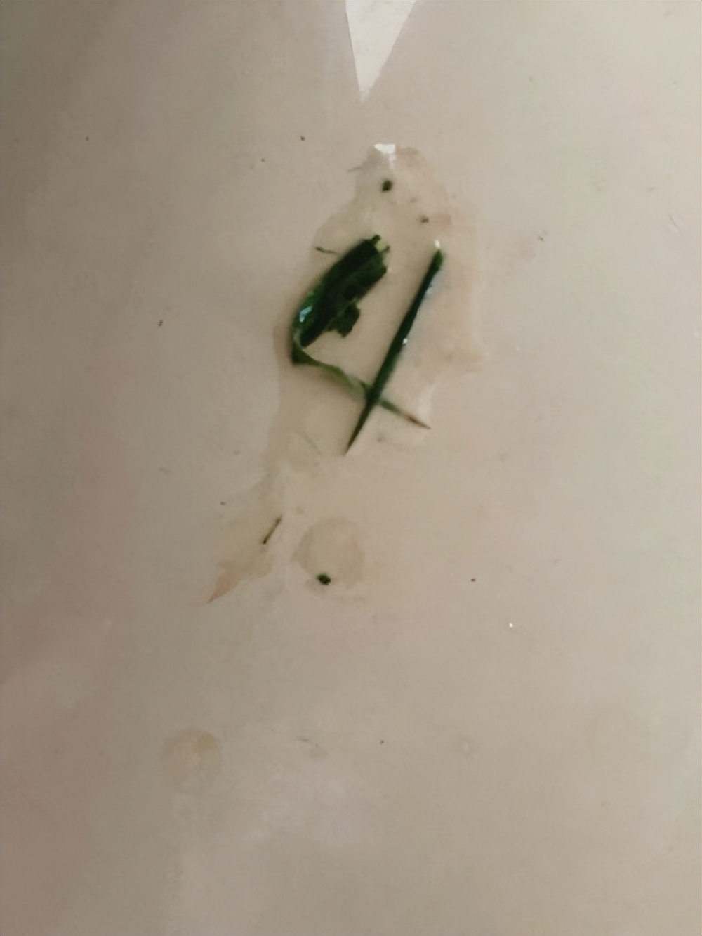 猫吃猫草后需要吐几天,猫咪猫草吃多了会嗜睡吗