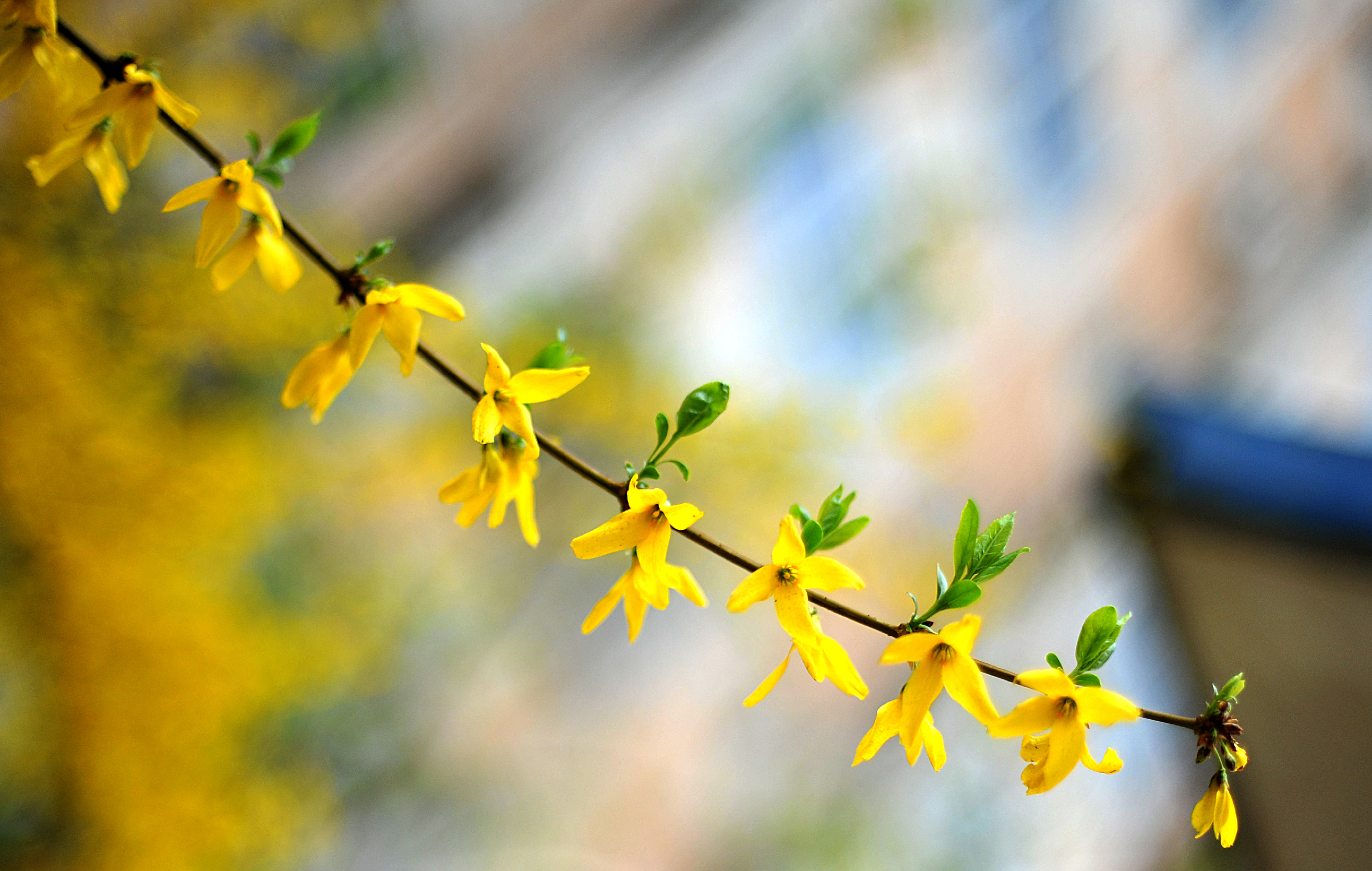 诗人张嵩诗歌作品选读塞上春早