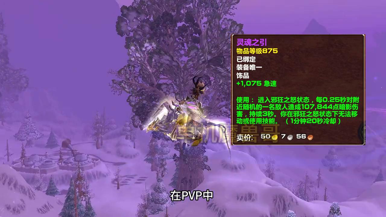 魔兽世界60年代十大pvp饰品,魔兽世界死亡意志饰品