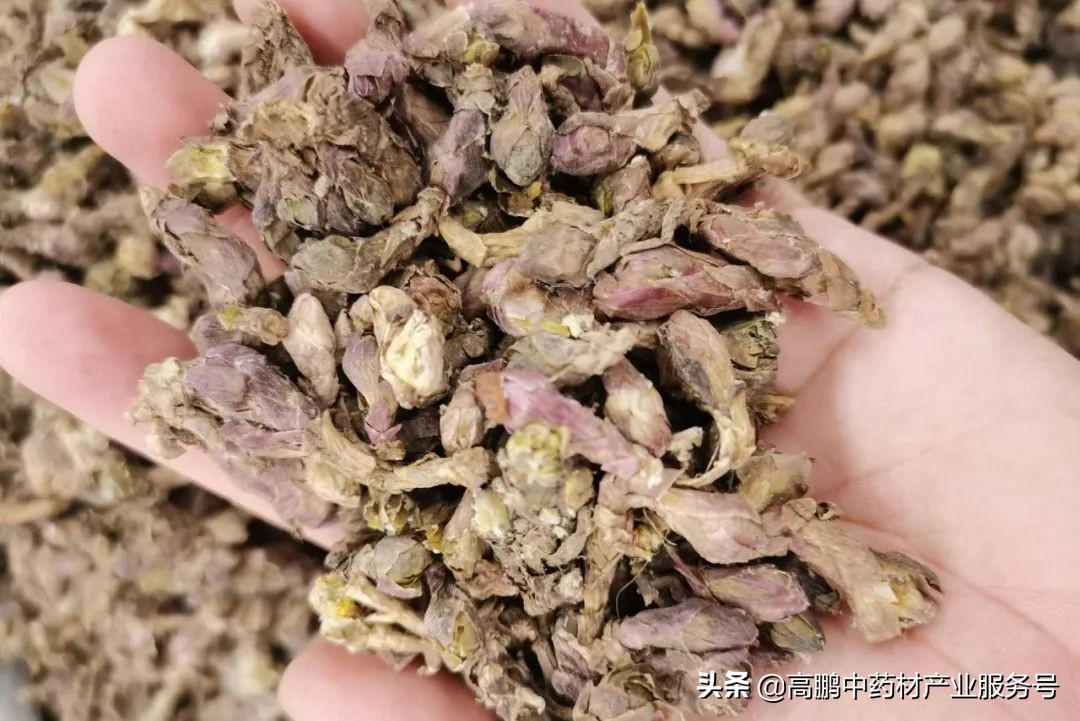 药材走势预测,高鹏说药材近期部分品种价格行情