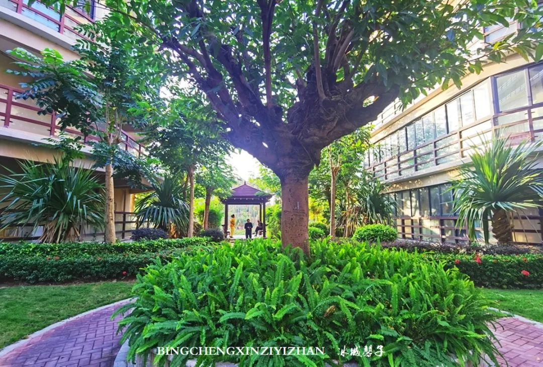 旅居海南：九所新区的浪漫情