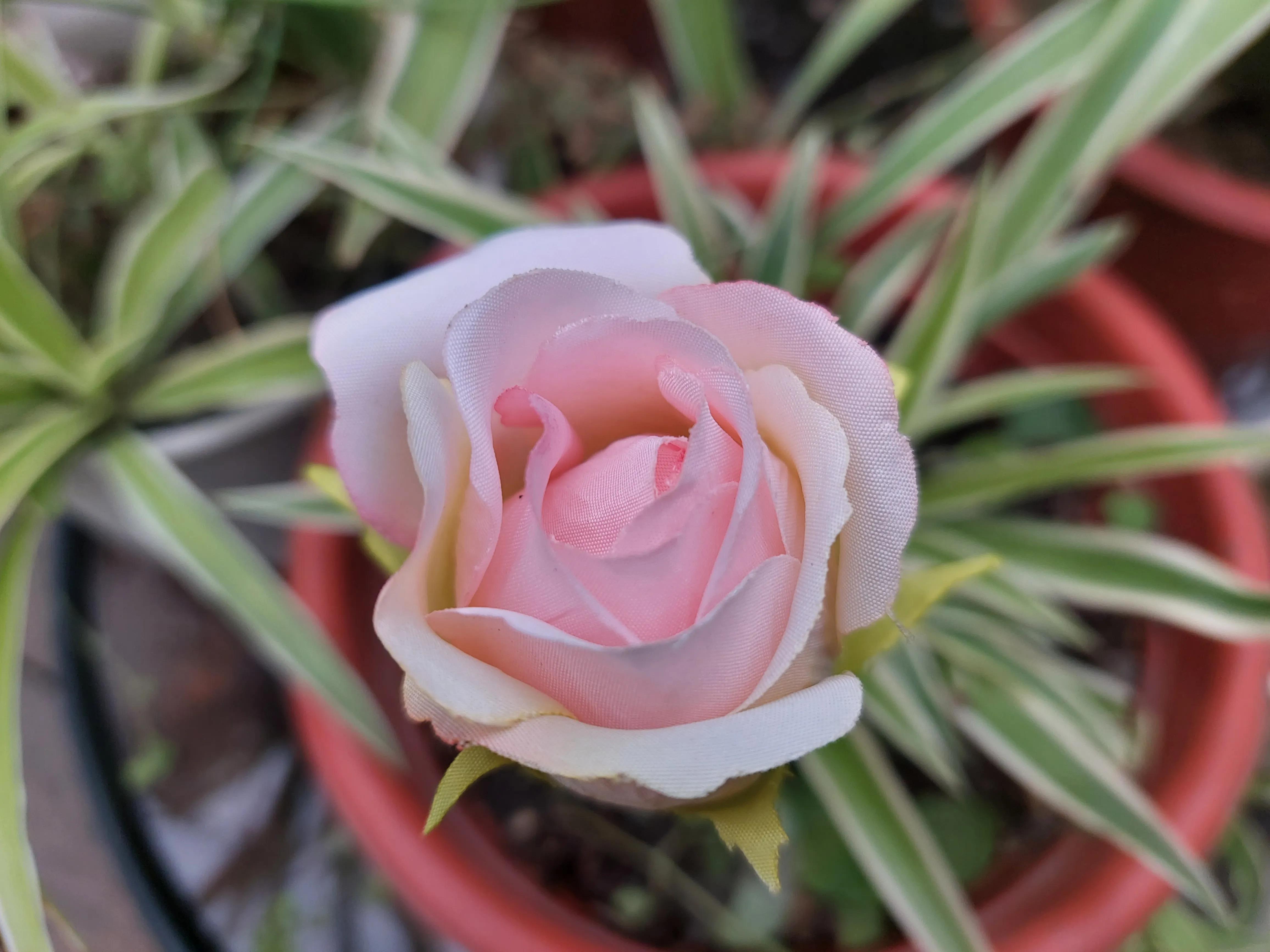 想要足球踢得好,想踢好足球要练什么