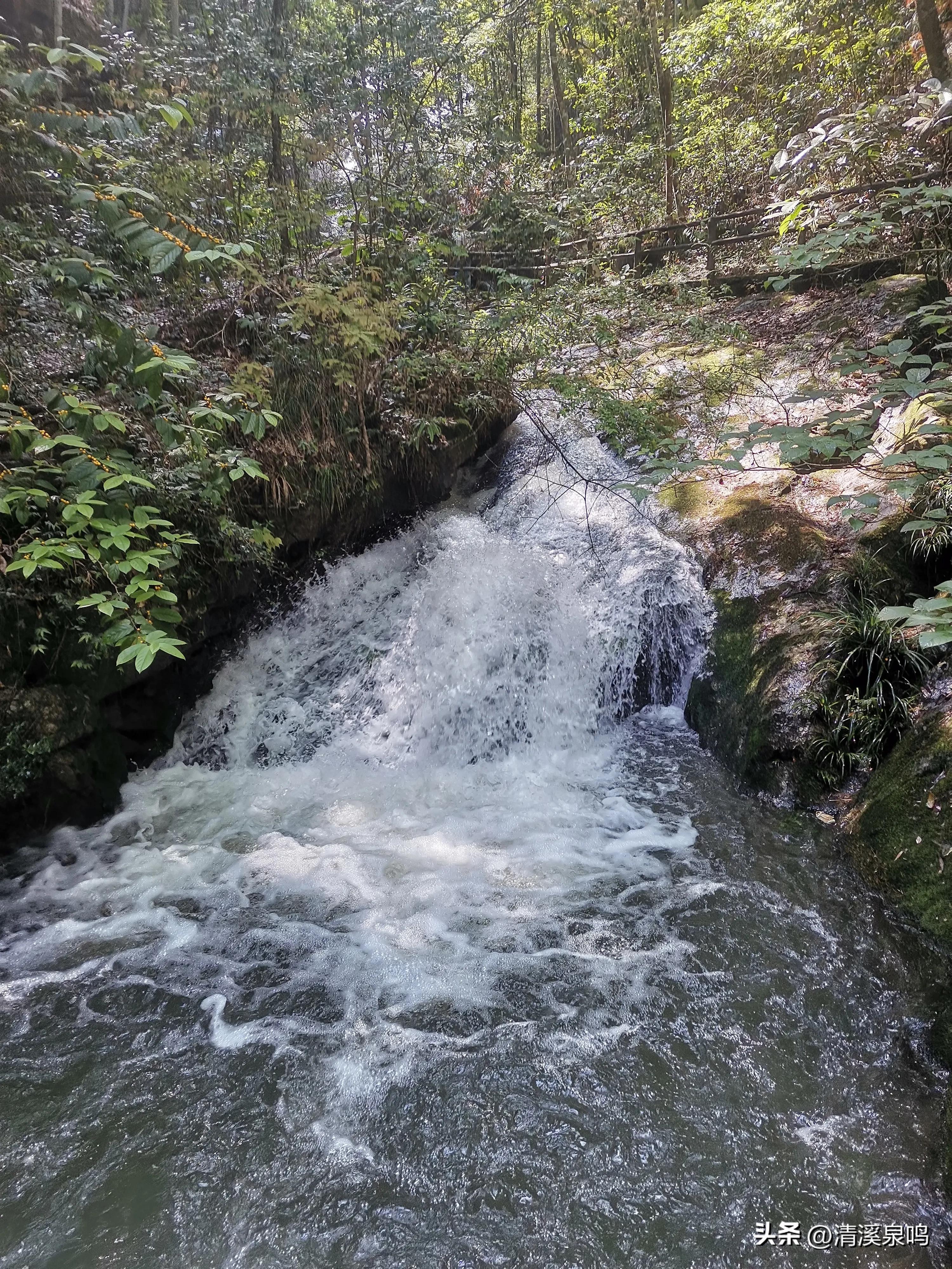 白水寨亲瀑台,白水寨瀑布最佳观景台多高