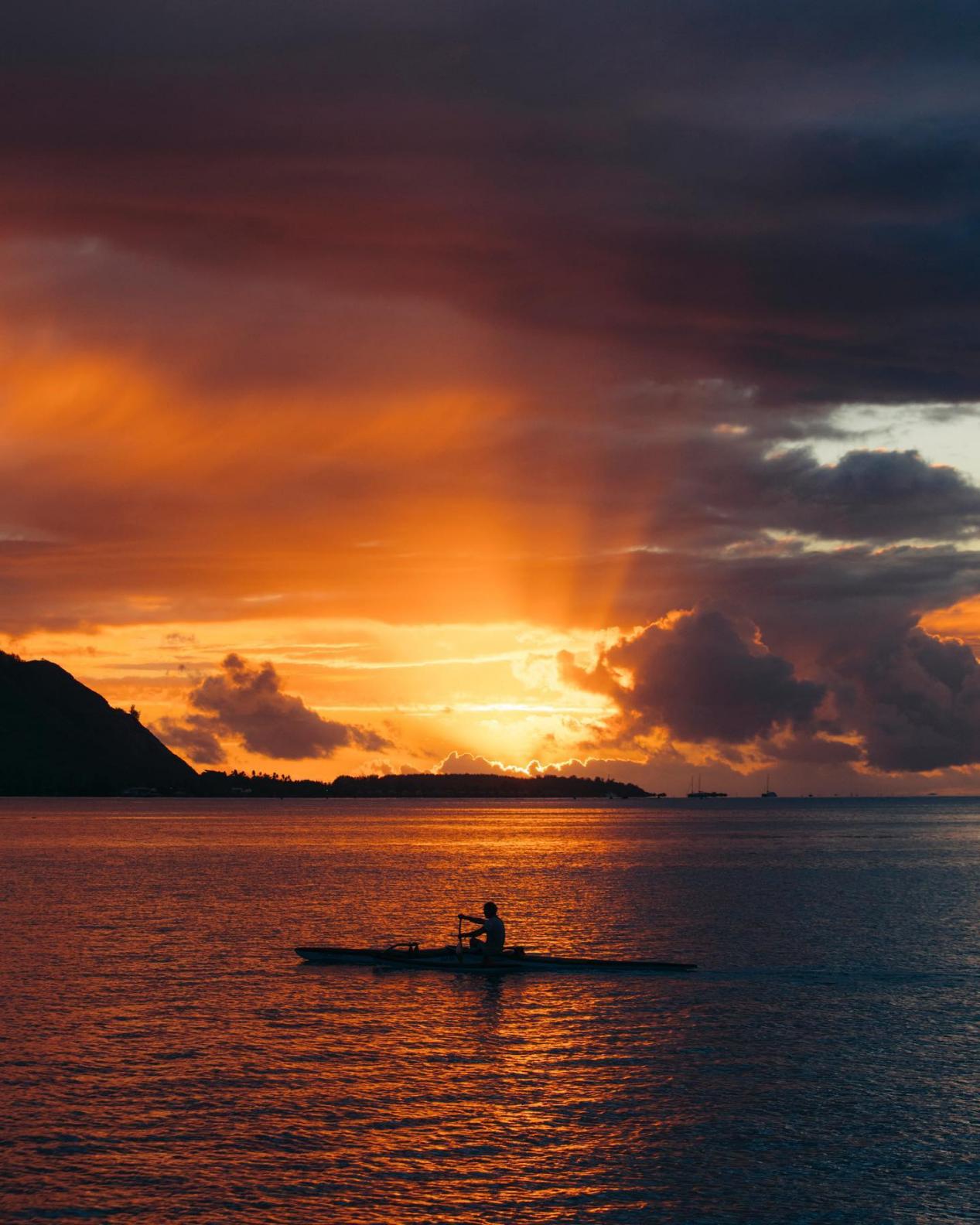 国外美女姐姐海里偶遇一只小鱼，竟引发神奇友谊！网友：前世情人