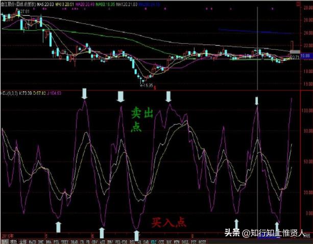 学到极致是什么意思,学到极致便是沧海一粟