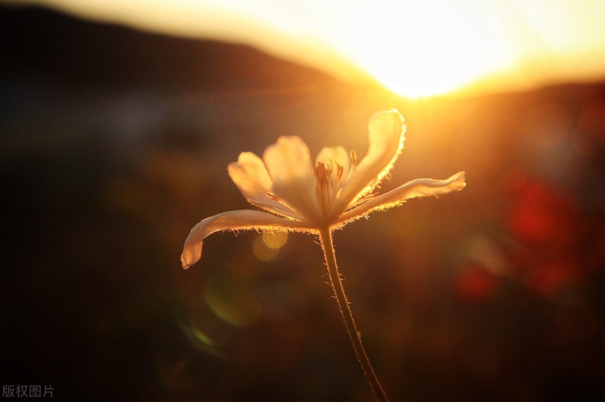 男人让女人失望心凉的短句,男人让女人心凉的几种愚蠢表现