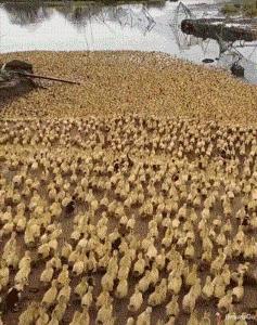 女朋友平胸是什么心理,女朋友是平胸怎么形容