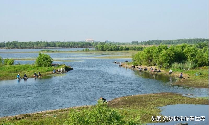 美在黑龙江：走进诗意山水之齐齐哈尔这里是世界大湿地中国鹤家乡