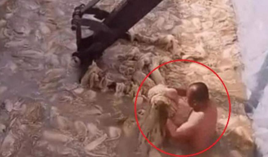 韩国泡菜与中国泡菜的区别,韩国泡菜和中国泡菜