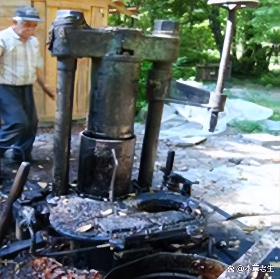 苏合香真假,苏合香哪个产地的最好