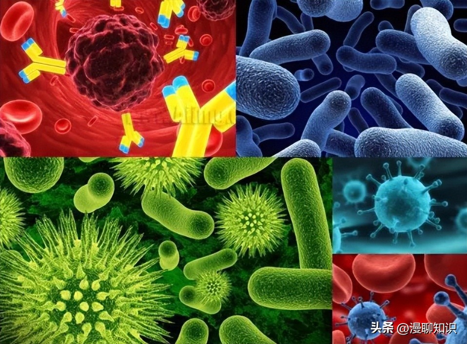 妇阴康洗剂的用途,妇阴康洗剂是抗生素药吗