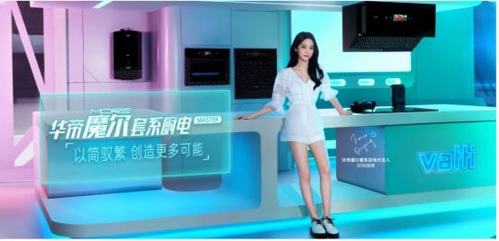 华帝燃气灶灶王,华帝中国灶王