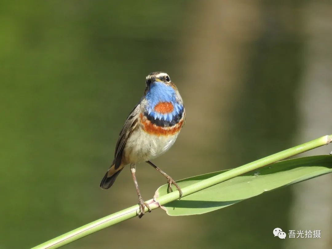 砂石坑什么时候挖出来,砂石石槽图片