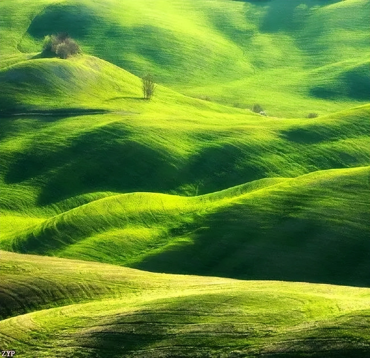 太美了美图欣赏,太美了世界级照片