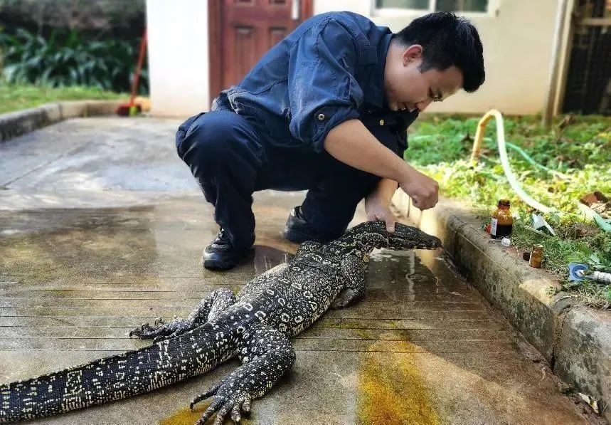 有一种叫云南的生活,有一种生活叫云南的生活