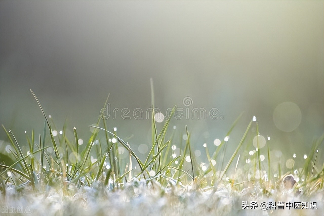 睾丸潮湿痒中医辩证施治,睾丸潮湿瘙痒的中医辨证治疗