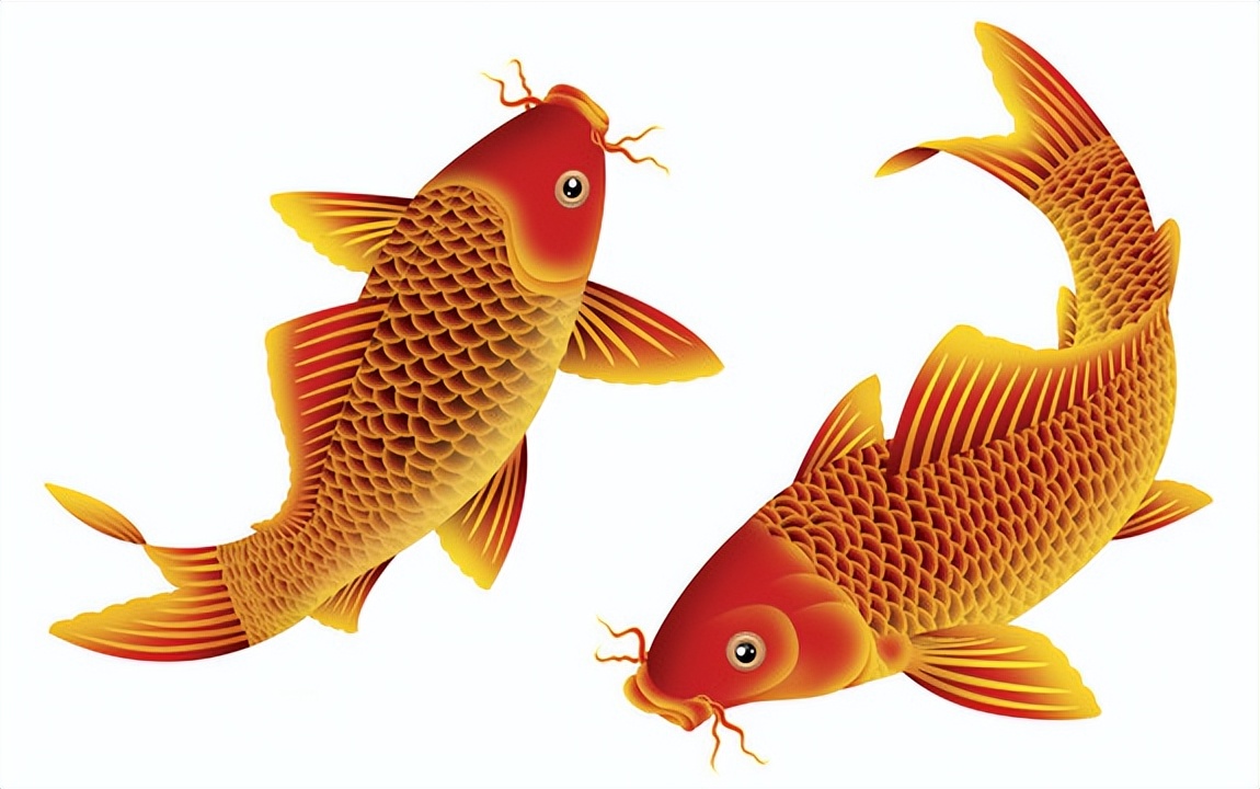 今日足球英超比分预测,今日足球预测曼联vs利物浦