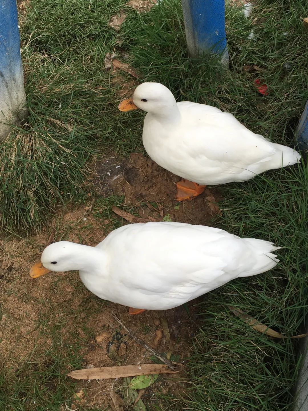 旭光电动车行,旭光车行向阳路