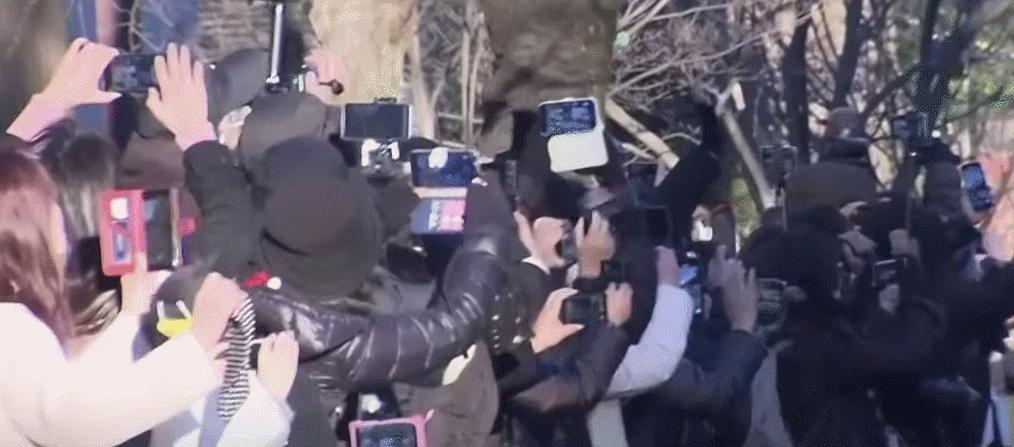 大熊猫香香回国日本民众哭着告别,大熊猫香香回国日本民众哭了