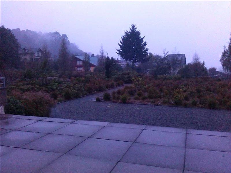 智利法罗群岛三文鱼,智利的三文鱼