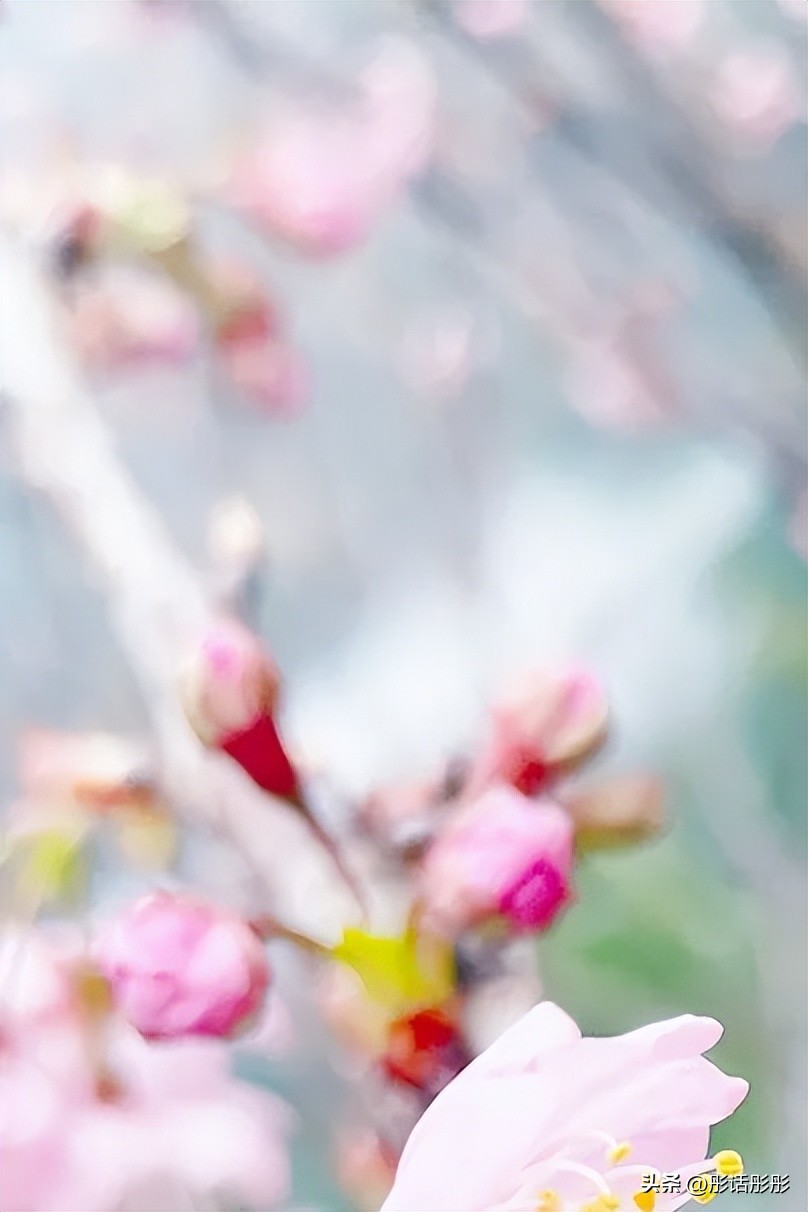 【彤话生日全年盘点】历史会记住公元2022的悲欢