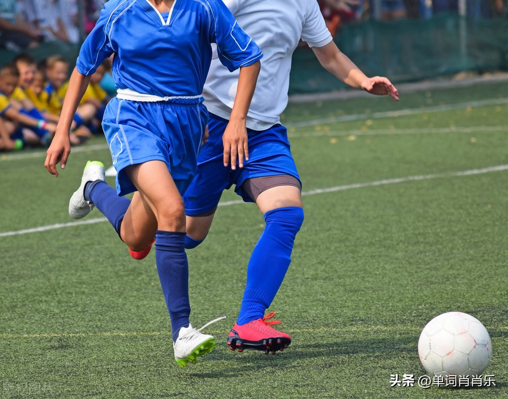 有言有味说单词30讲,有言有味说单词视频