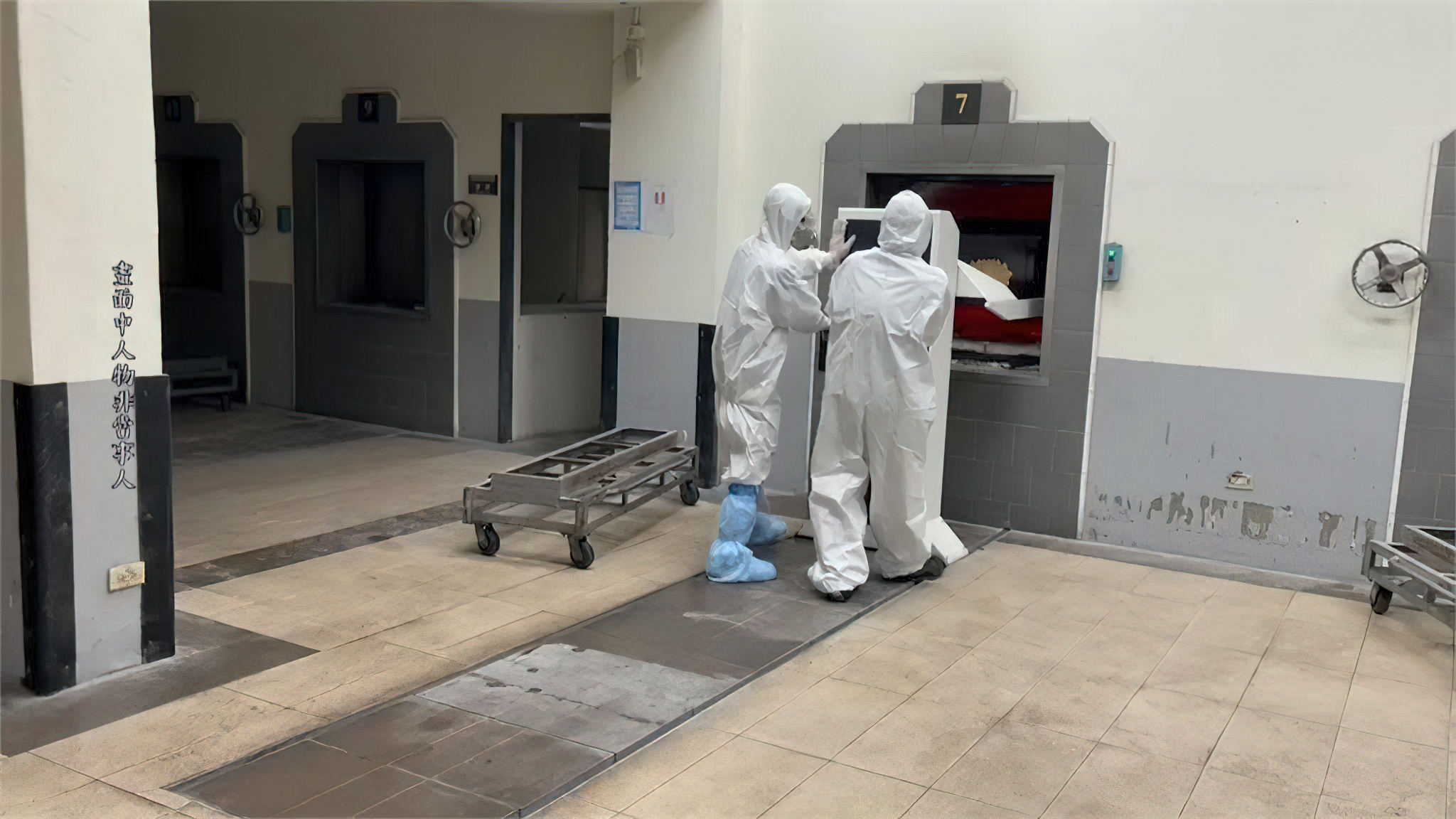 人体最坚硬的部分是牙齿,人体中最坚硬的部位不是头骨吗