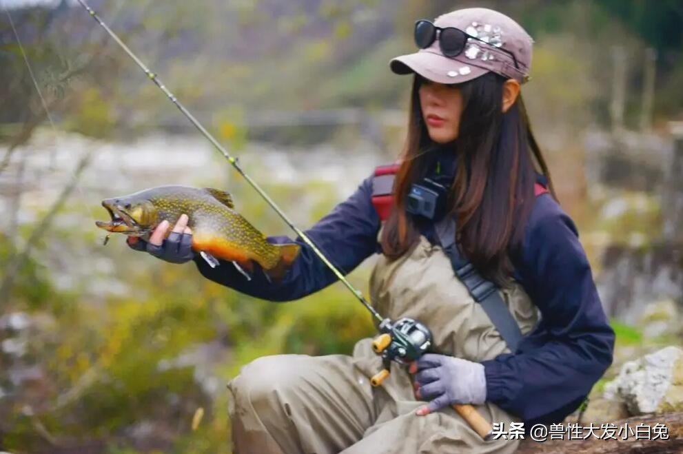 路亚饵的介绍大全,软饵路亚翘嘴