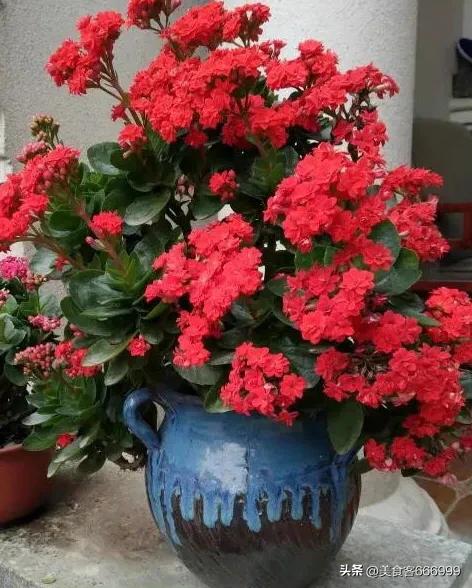 弟弟欠我的钱是要还是不要