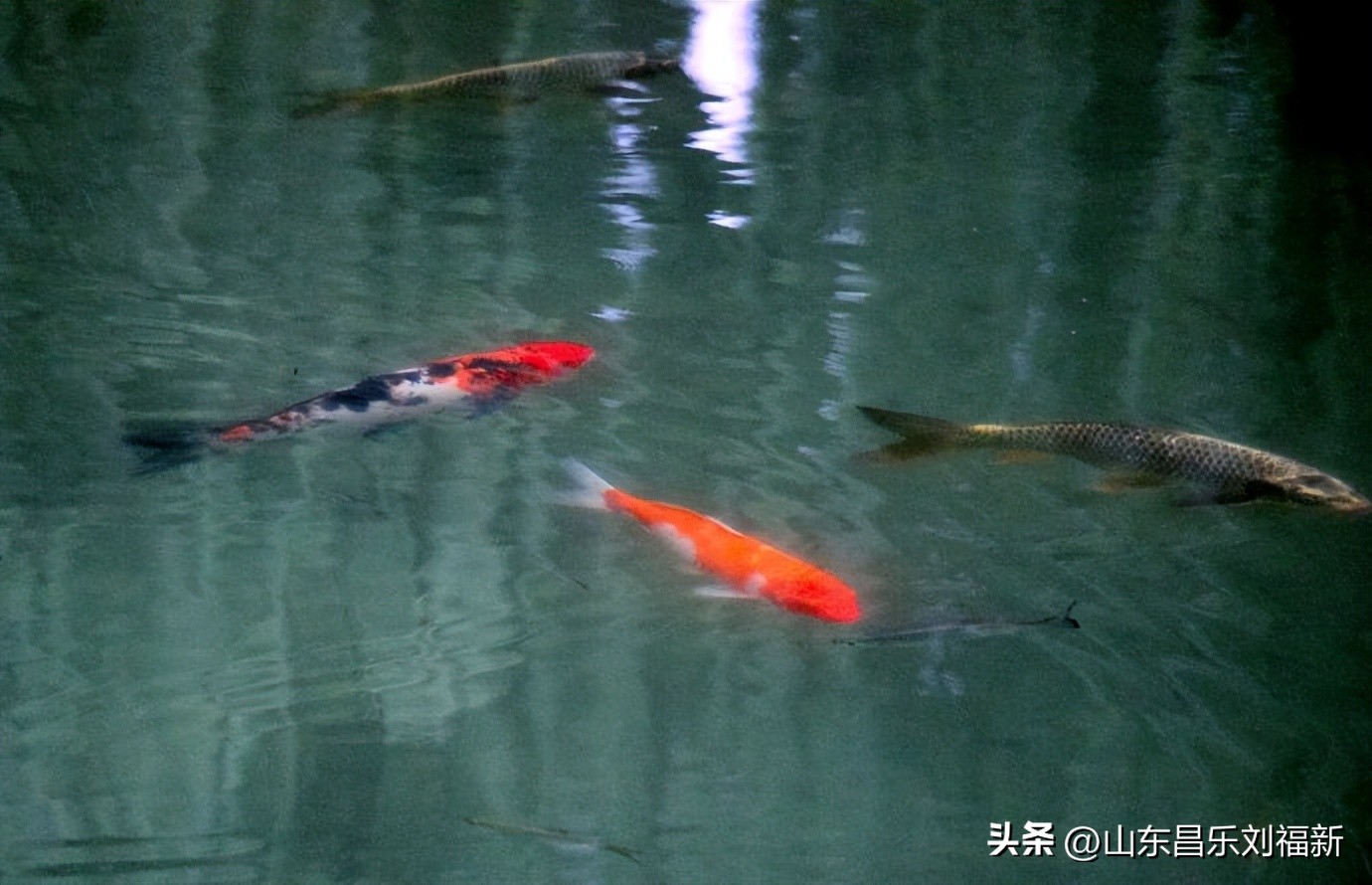 阴雨连绵网易云,阴雨连绵网易云卡点