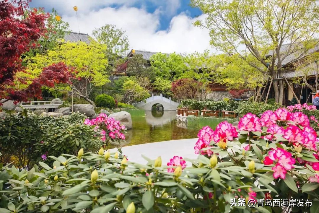 现实版小森林，这些藏在西海岸周边的乡野太治愈