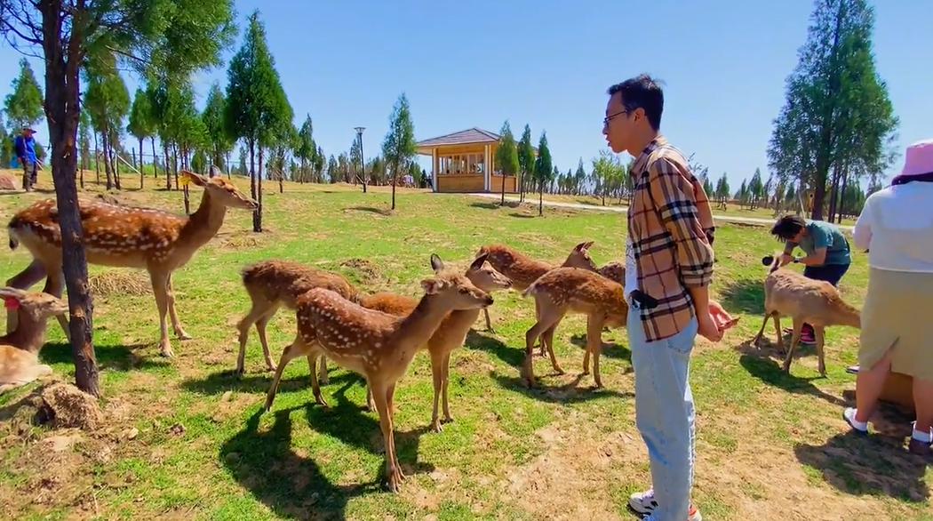 郑州七月份适合带孩子去哪旅游,郑州周边五一适合去哪旅游带孩子