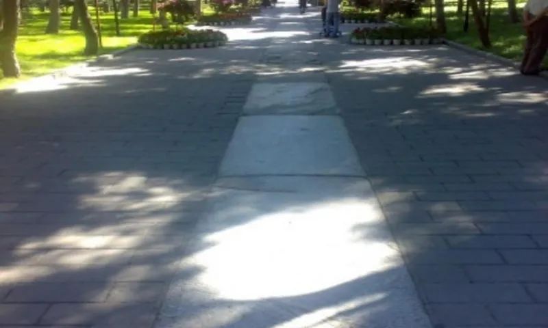 失踪78年的北京人头盖骨就藏在日坛树林里？