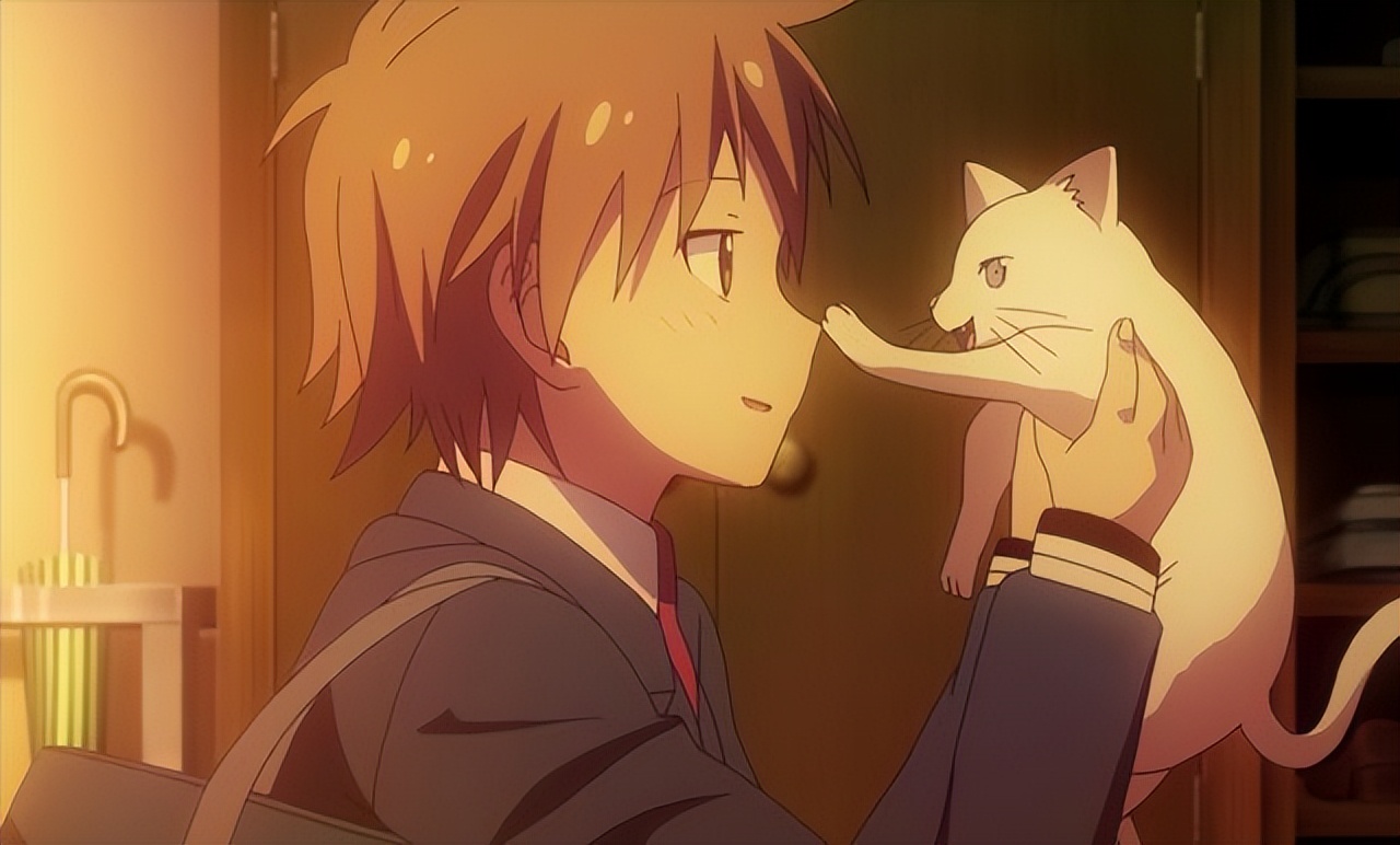 樱花庄的宠物女孩什么类型的,盘点樱花庄的宠物女孩